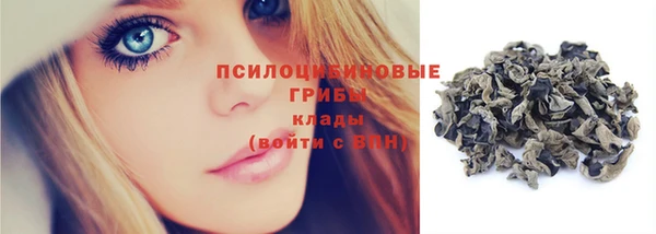 прущий лед Ладушкин