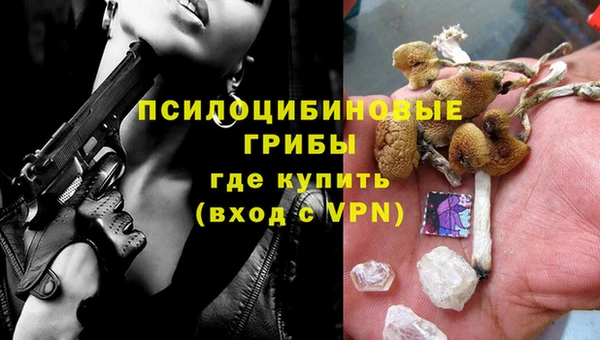 гидра Лагань