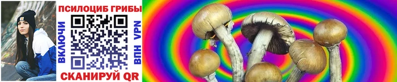 Псилоцибиновые грибы Psilocybine cubensis  Купить где  Иваново 